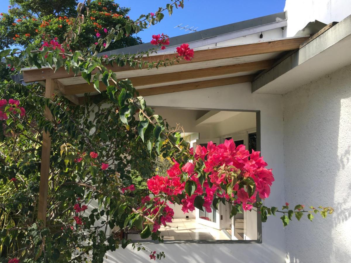 Ancella'S Garden Apartment-Beach-5Min Drive, 1 Hr Montego Bay, 25 Mins Ocho Rios, Continental Breakfast Раневей-Бей Екстер'єр фото