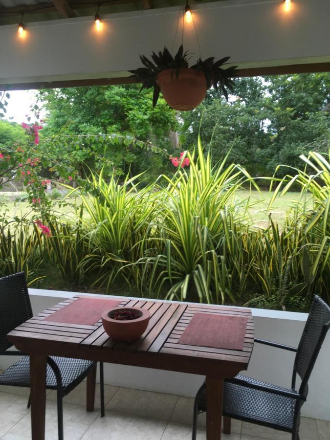 Ancella'S Garden Apartment-Beach-5Min Drive, 1 Hr Montego Bay, 25 Mins Ocho Rios, Continental Breakfast Раневей-Бей Екстер'єр фото