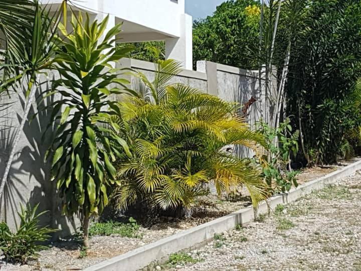 Ancella'S Garden Apartment-Beach-5Min Drive, 1 Hr Montego Bay, 25 Mins Ocho Rios, Continental Breakfast Раневей-Бей Екстер'єр фото
